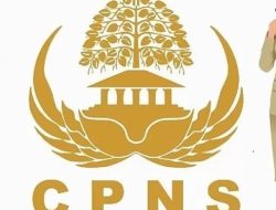 479 Instansi Pemda Buka Pendaftaran CPNS, Cek Kabupaten Mu 👇