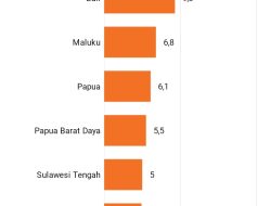 NTT Propinsi Peminum Alkohol Terbanyak di Indonesia
