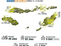 11 Kasus Kebakaran Hutan dan Lahan di NTT Terjadi Selama Bulan Juli 2024