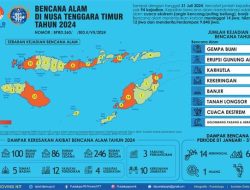 Kasus Bencana di NTT dari Bulan Januari sampai dengan Juli Mencapai 94 Kejadian, dan ini Jumlah Korban Jiwanya