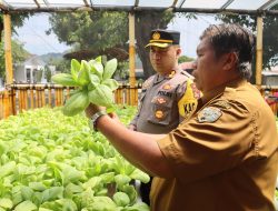 Dukung Ketahanan Pangan, Polres Ende Luncurkan Pekarangan Pangan Lestari