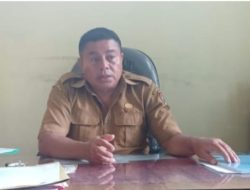 Pemkab Pastikan Tidak Ada Virus ASF di Alor, Dinas Peternakan Gencar Sosialisasi dan Pencegahan