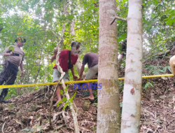 Breaking News, Ditemukan Kerangka Manusia, Tim Inafis Polres Ende Polda NTT Berhasil Identifikasi