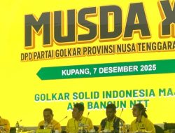 Megi Sigasere Apresiasi Terpilihnya Fransiskus Xaverius Alain Niti sebagai Ketua DPD Partai Golkar NTT