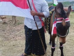 Dituduh Aniaya, Ferdin Buka Fakta: Sengketa Sapi Perusak Sawah Berujung Damai Adat