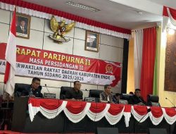DPRD Ende Dukung Penggusuran Bangunan di Pesisir Pantai Ndao