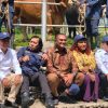 Program “Senator Inseminator” Jadi Andalan Capai Swasembada Daging Nasional