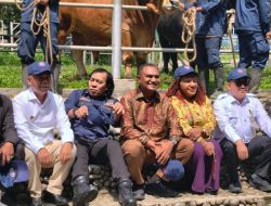 Program “Senator Inseminator” Jadi Andalan Capai Swasembada Daging Nasional