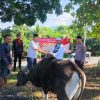 Kapolres Ende Serahkan Hewan Kurban di Idul Adha 2026