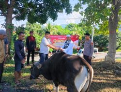 Kapolres Ende Serahkan Hewan Kurban di Idul Adha 2026