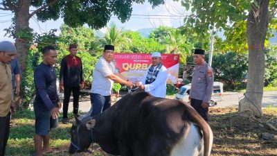 Kapolres Ende Serahkan Hewan Kurban di Idul Adha 2026