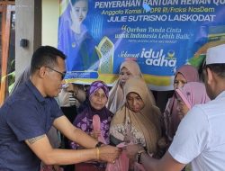 Julie Laiskodat Serahkan Hewan Kurban untuk Jemaah Masjid Makarimal Akhlak Ende